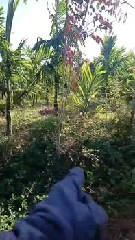 Đất nền Thôn 2, xã Ea Ktur 150m² giá 385 triệu - Đầu tư sinh lời ngay!