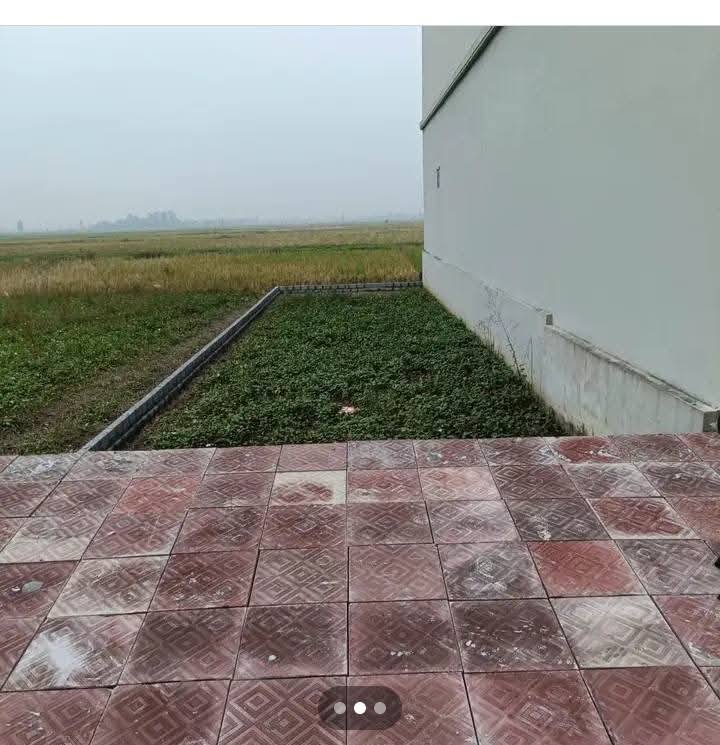 Đất nền đẹp tại phường Trần Lãm, Thái Bình - Diện tích 100m², giá chỉ 1.3 tỷ