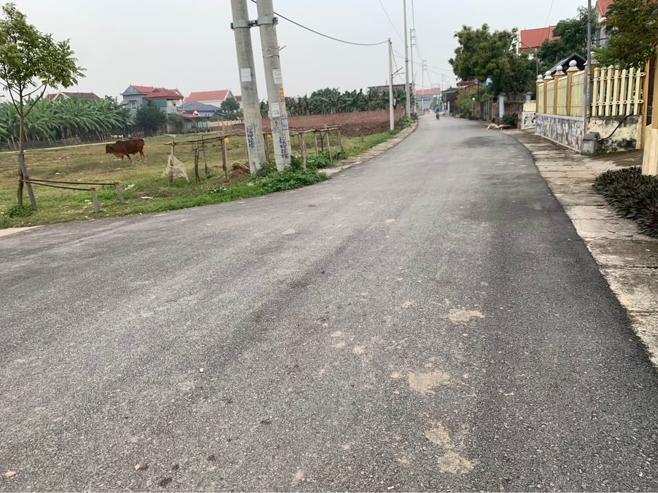 Đất nền Lâm Thao Phú Thọ 192m² - Mặt tiền đường rộng, giá đầu tư!