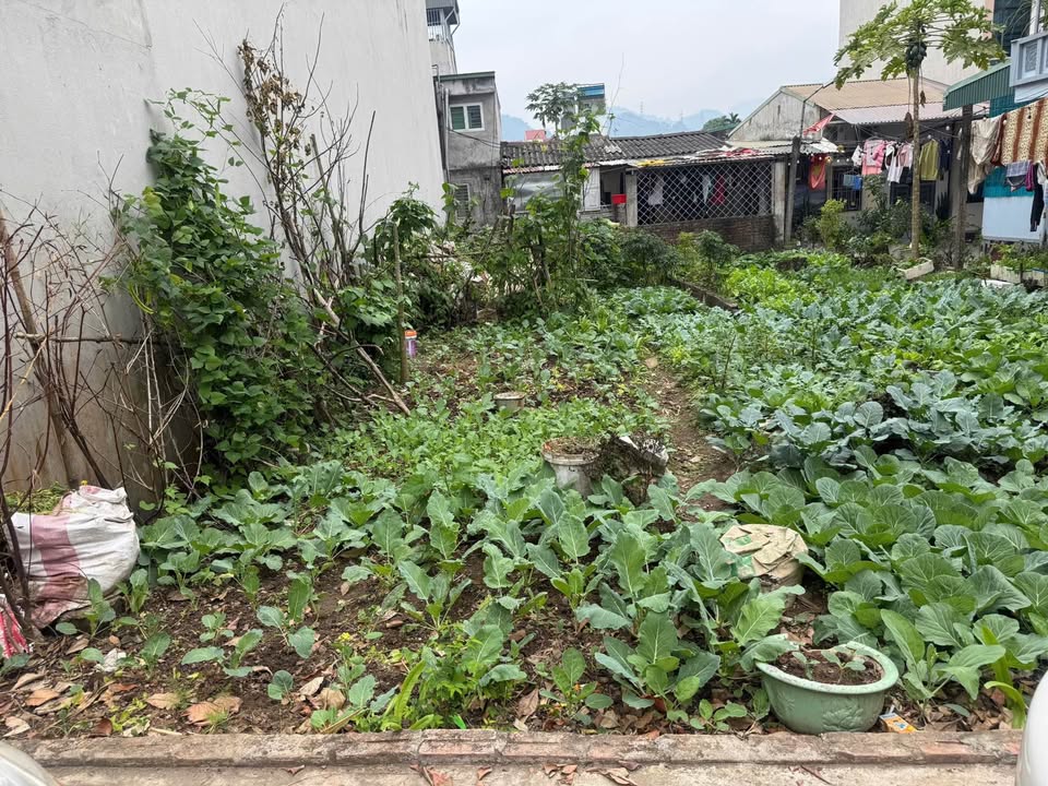 Đất nền Tân Hòa, Hòa Bình 80m² giá 2.1 tỷ - Đường thông thoáng, tiện ích đầy đủ!