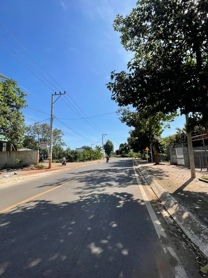 Đất nền Phước Long 560m² giá 2.5 tỷ - Đường nhựa lớn, dân cư đông đúc!