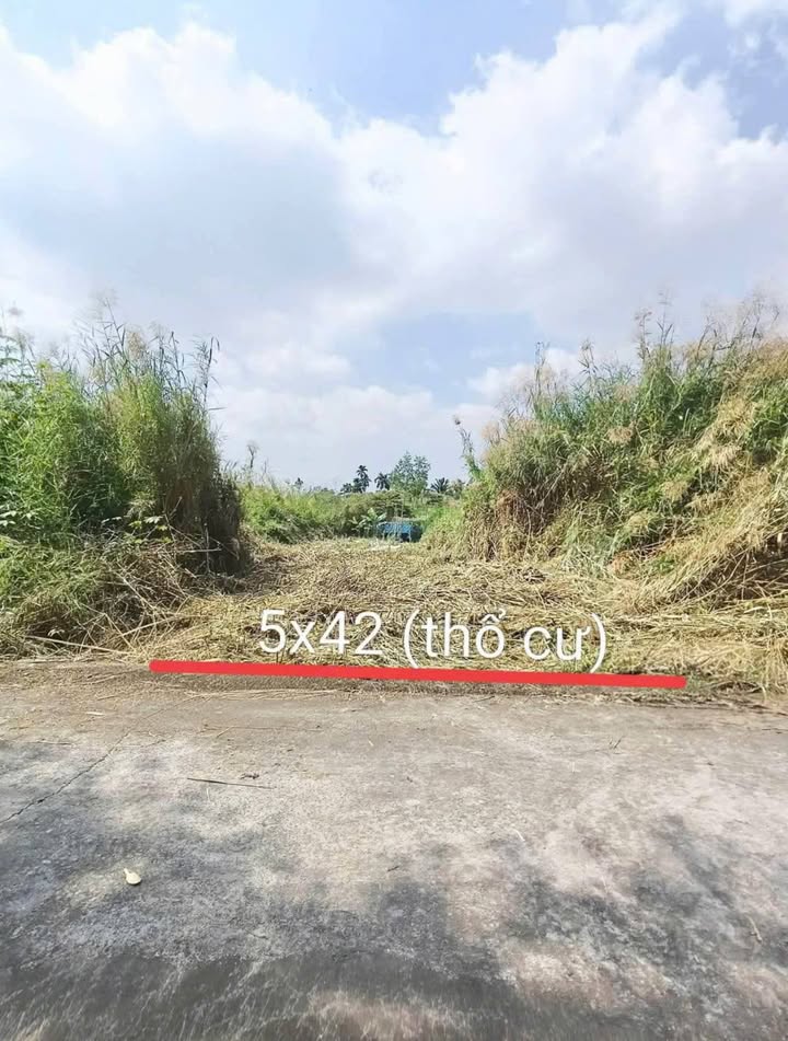 Lô đất thổ cư 195m² tại xã Nhơn Thạnh Trung, Tân An, Long An - Giá chỉ 800 triệu