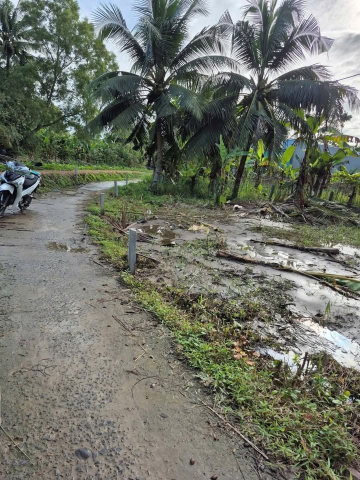 Đất thổ cư Giai Xuân, Phong Điền 123m² giá 400 triệu - Đầu tư tiềm năng cao!