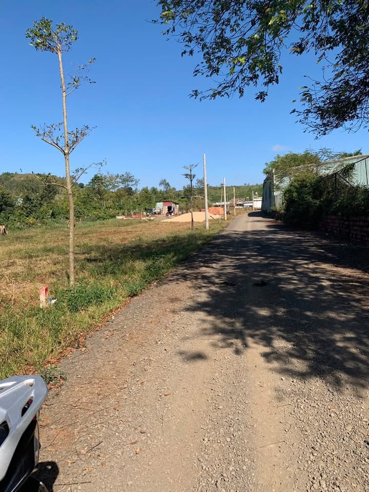 Đất Hẻm Chính Lý Chính Thắng, Hội Phú, Pleiku 125m² giá chỉ 500 triệu - Đường đẹp, dân cư đông đúc!