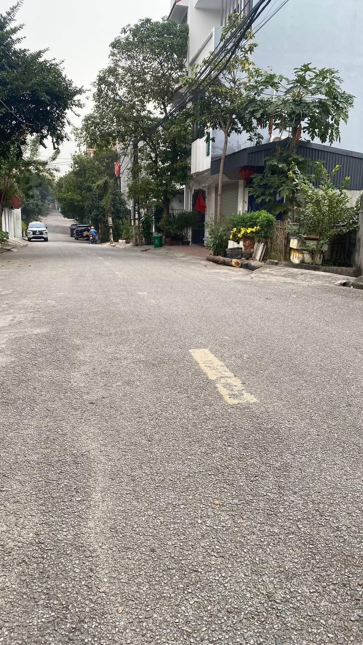Đất nền liền kề trục chính đường Hàm Nghi, Gia Cẩm, 83m² - Cơ hội đầu tư hiếm có!