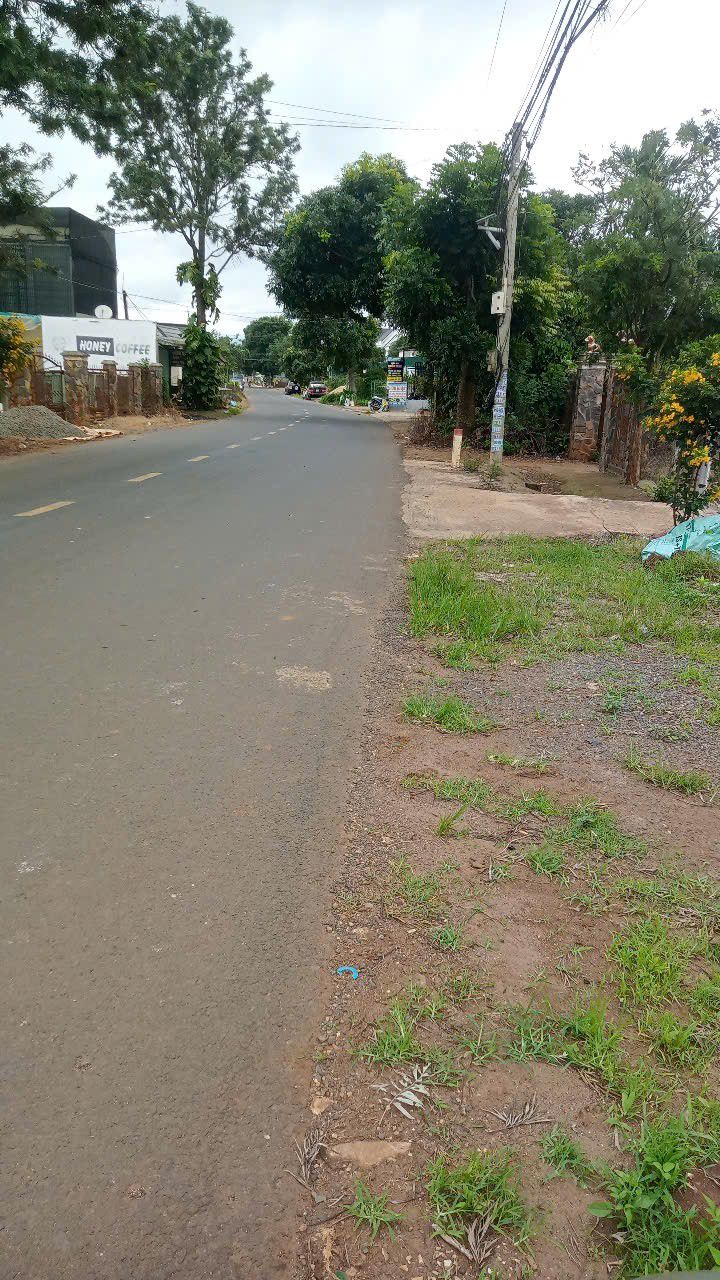 Đất nền Tân Hội, Đức Trọng 250m² giá 1.5 tỷ - Sổ đỏ chính chủ, tiện ích đầy đủ!