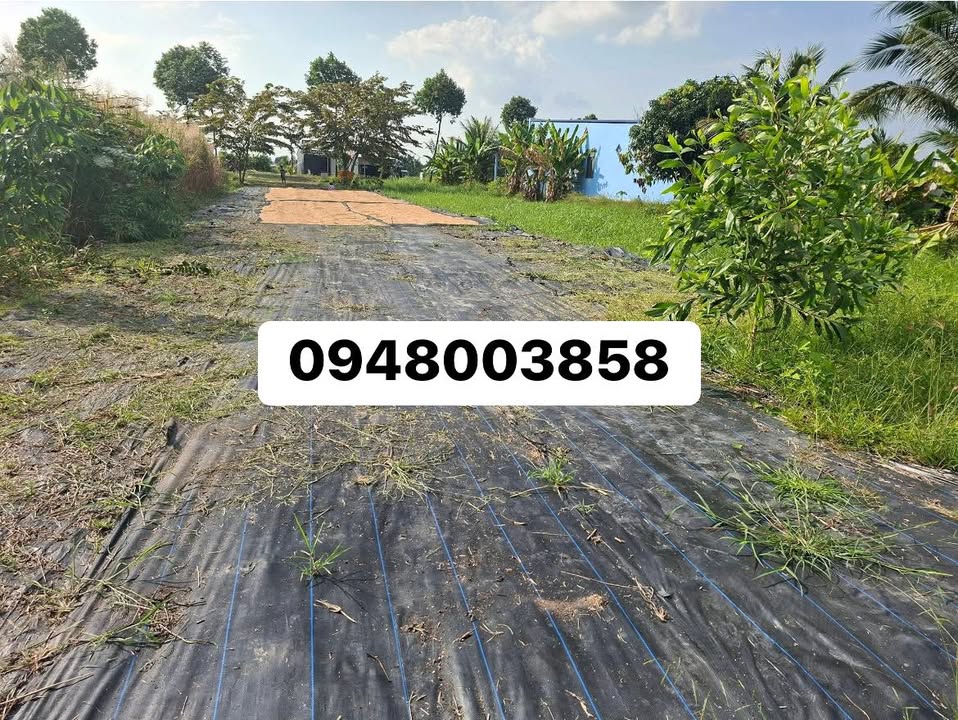 Đất nền mặt tiền đường Xuyên Á, An Minh 1100m² giá 1.5 tỷ - Sổ Hồng chính chủ!