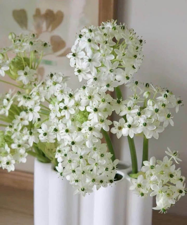 Đất nền 3700m² mặt tiền Chi Lăng, phường 12 - Giá chỉ 5 triệu/m² - Cơ hội đầu tư không thể bỏ lỡ!