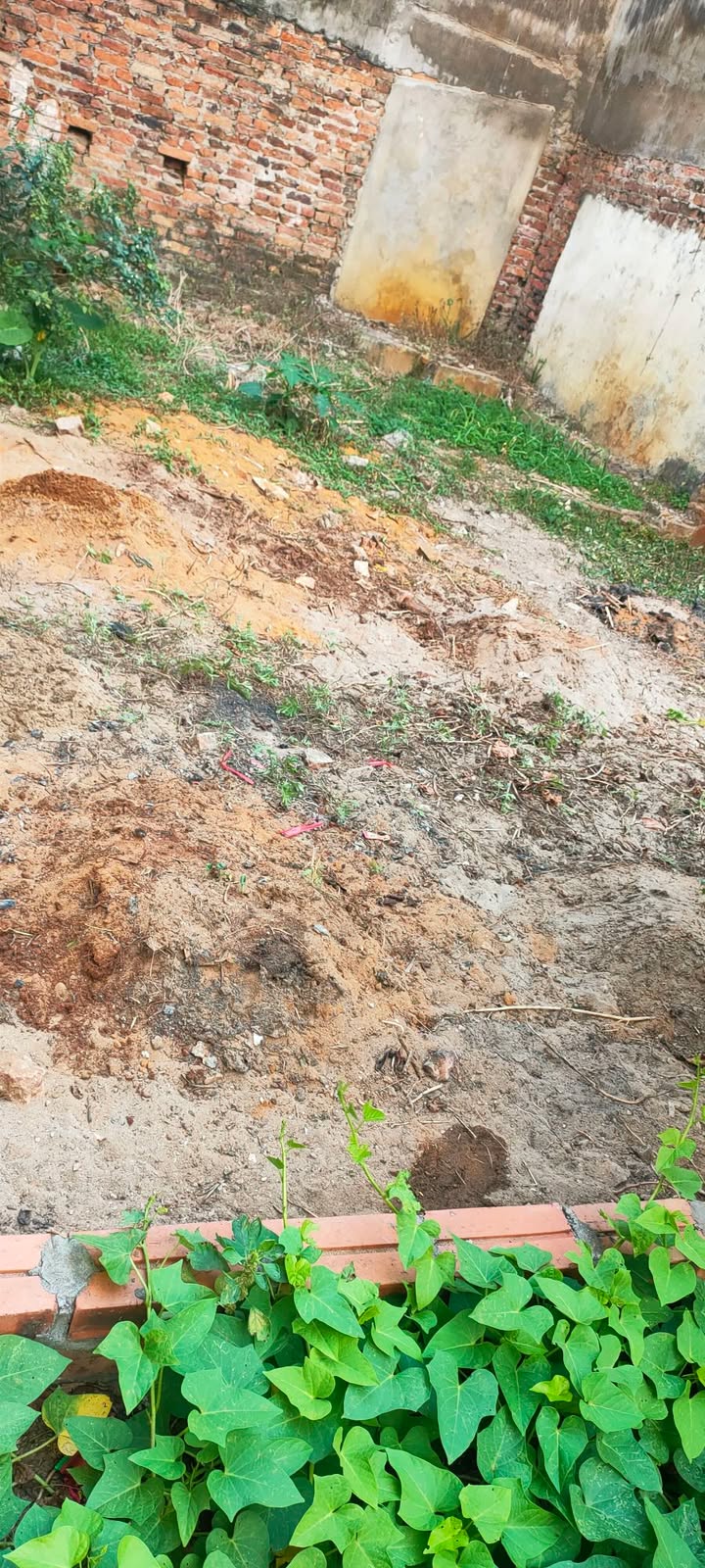 Đất nền Tam Sơn, Từ Sơn 42m² giá 20 triệu/m² - Sổ đỏ chính chủ!