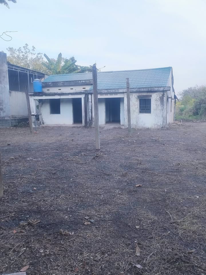 Đất Farm hai mặt tiền Nhuận Đức 8300m² giá 3.8 triệu - Tiềm năng phát triển lớn!