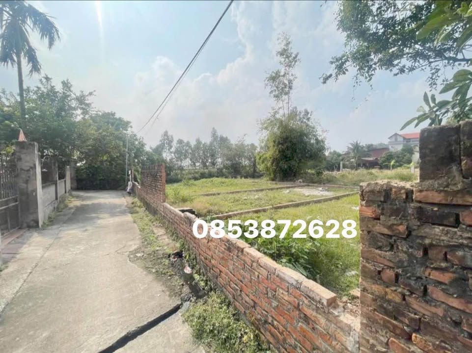 Đất nền Đào Viên, Thuận Thành 80m² giá 1.8 tỷ - Đầu tư sinh lời hấp dẫn!