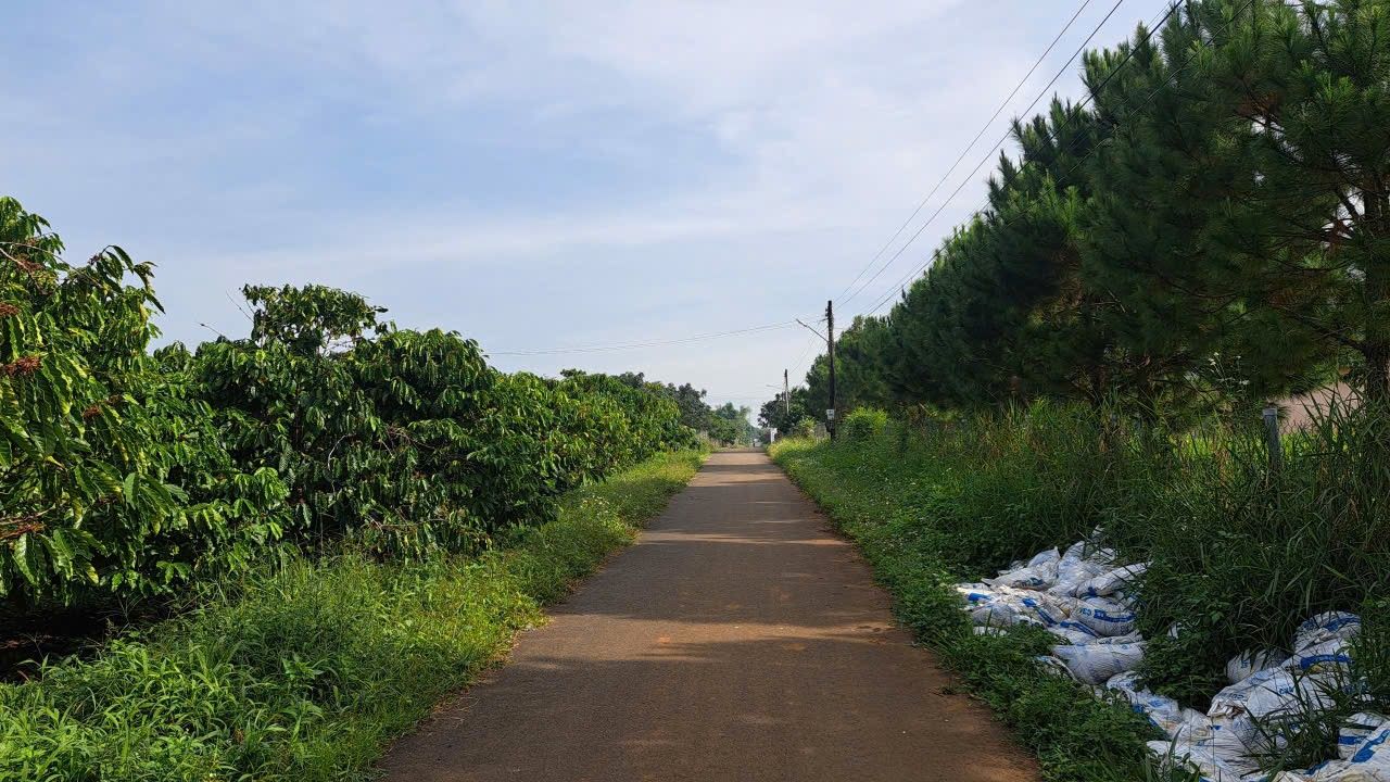 Đất thổ cư mặt tiền Trịnh Hoài Đức, B'Lao 1004m² - Cơ hội đầu tư tuyệt vời!