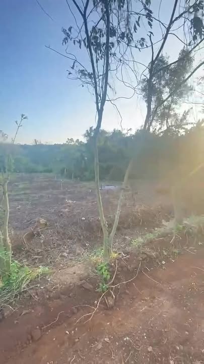 Đất nền Cửa Tùng, Vĩnh Linh 1800m² giá chỉ 199 triệu - Cơ hội đầu tư tuyệt vời!