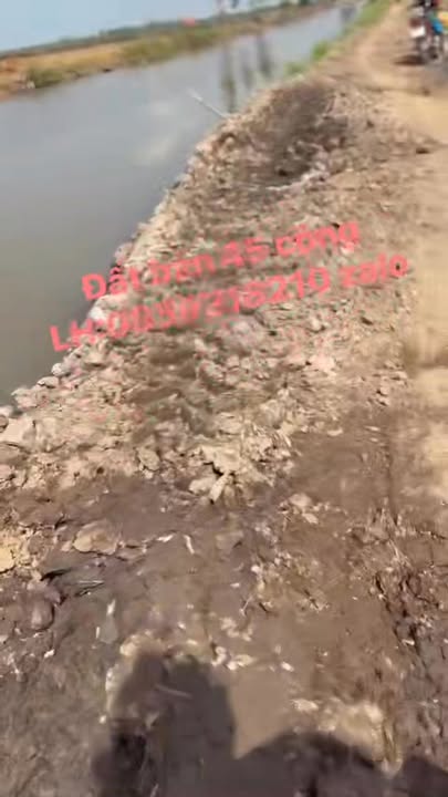 Đất nền Phú Thành B, Tam Nông 45.000m² giá 4.5 tỷ - Tiềm năng đầu tư lớn!