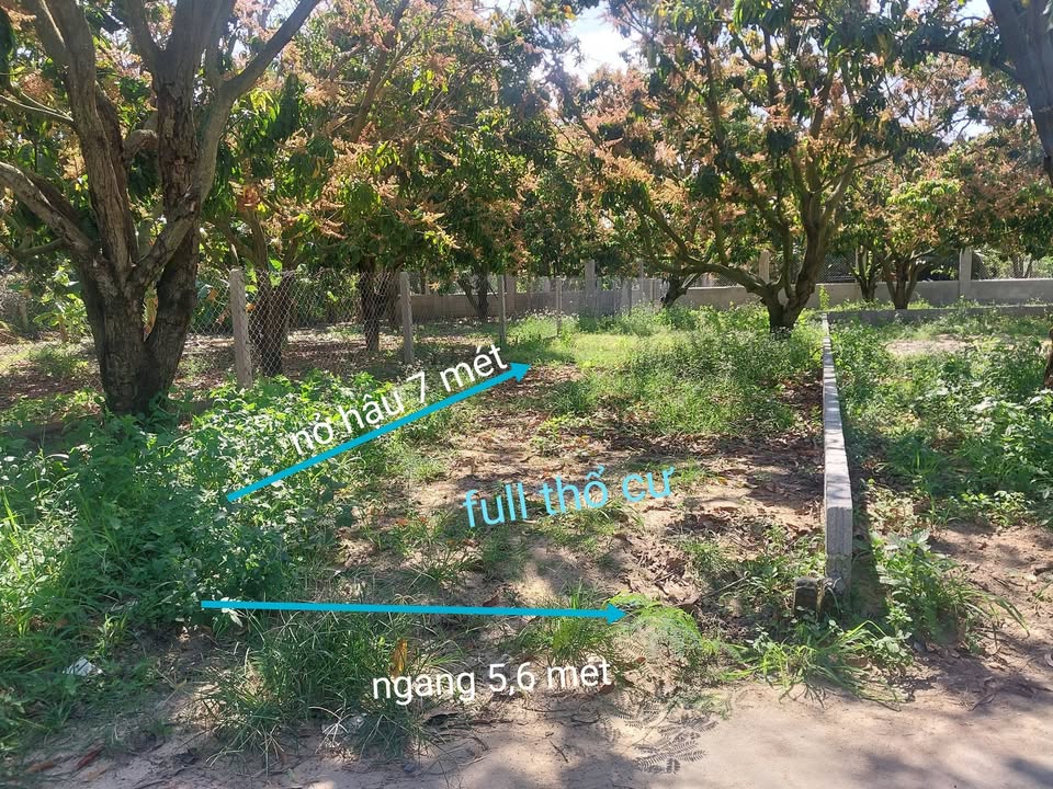 Đất nền Cam Hiệp Bắc 161m² giá 1.4 tỷ - Sổ hồng chính chủ, đầu tư sinh lời!