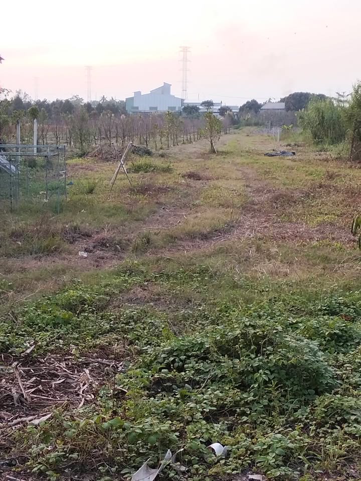 Đất thổ cư 9.500m² tại Phước Thới, Cần Thơ - Giá chỉ 6.5 tỷ - Đầu tư lý tưởng!