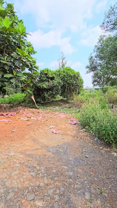 Đất nền 2334m² tại Giang Điền, giá 4 tỷ - Đường xe hơi vào tận nơi!