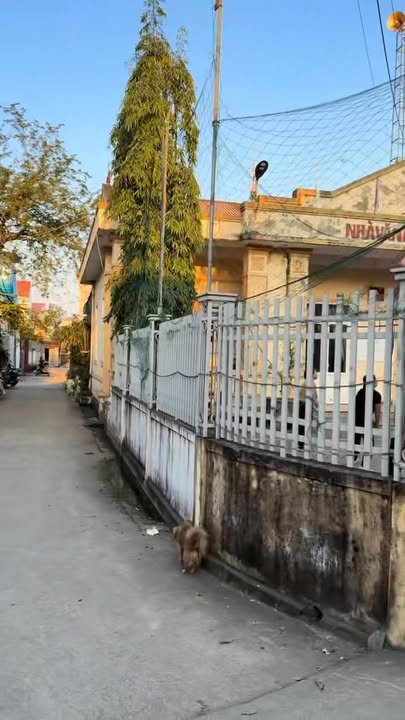 Đất nền Đông Vĩnh, TP Vinh 80m² giá 2 tỷ - Đường rộng thông thoáng!