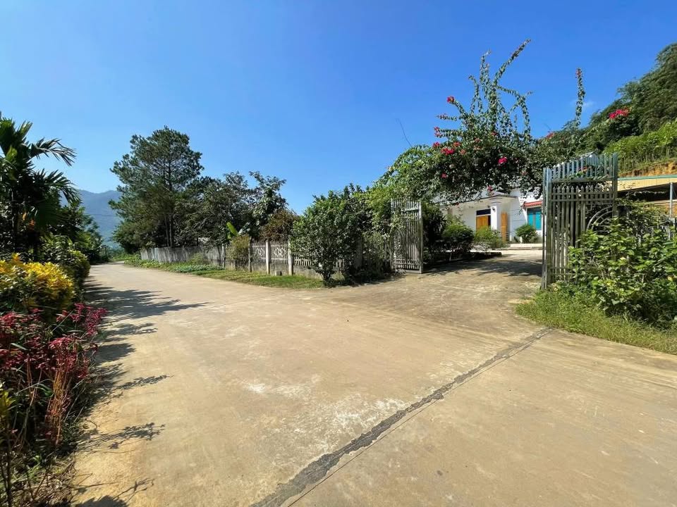 Đất nghỉ dưỡng Xuân Thủy, Yên Lập 658m² giá 800 triệu - View cánh đồng thanh bình!