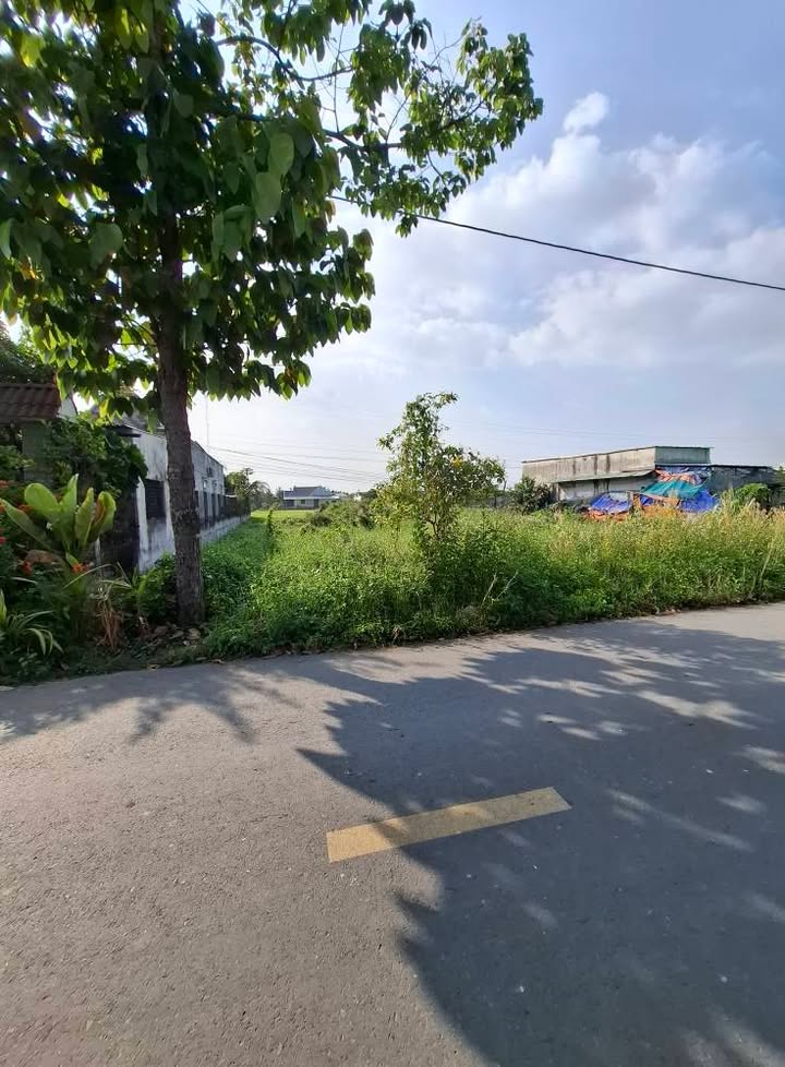 Đất thổ cư ấp Rừng Dầu, Đức Hòa, Long An 260m² giá 2.38 tỷ - Cơ hội đầu tư sinh lời!