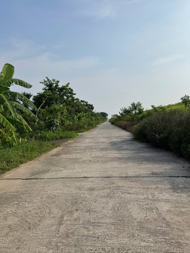 Đất nền thôn Lan Đình, xã Chí Minh, 128,9m² - Giá chỉ từ 2x triệu/m², vị trí đắc địa!