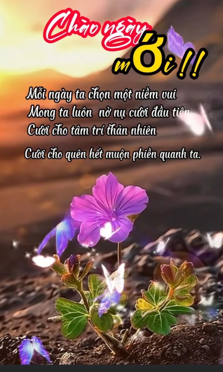 Đất mặt đường Tỉnh Lộ 326 Hạ Long 259m² giá 2.063 tỷ - Cơ hội đầu tư tuyệt vời!