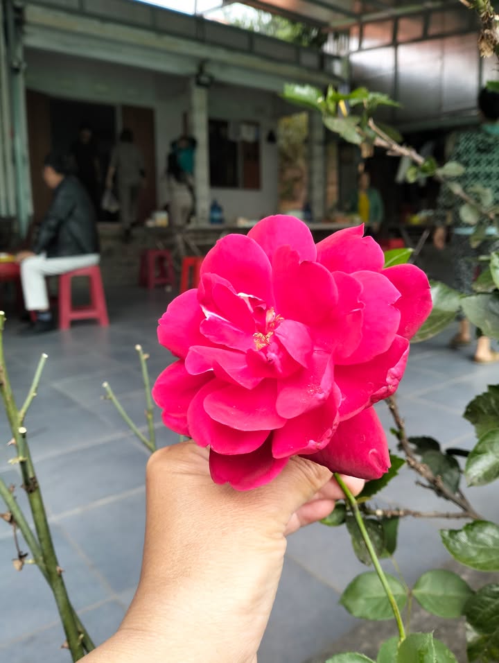 Đất Lập Lễ Thủy Nguyên 72m² giá 1 tỷ - Đường rộng ô tô tránh nhau!