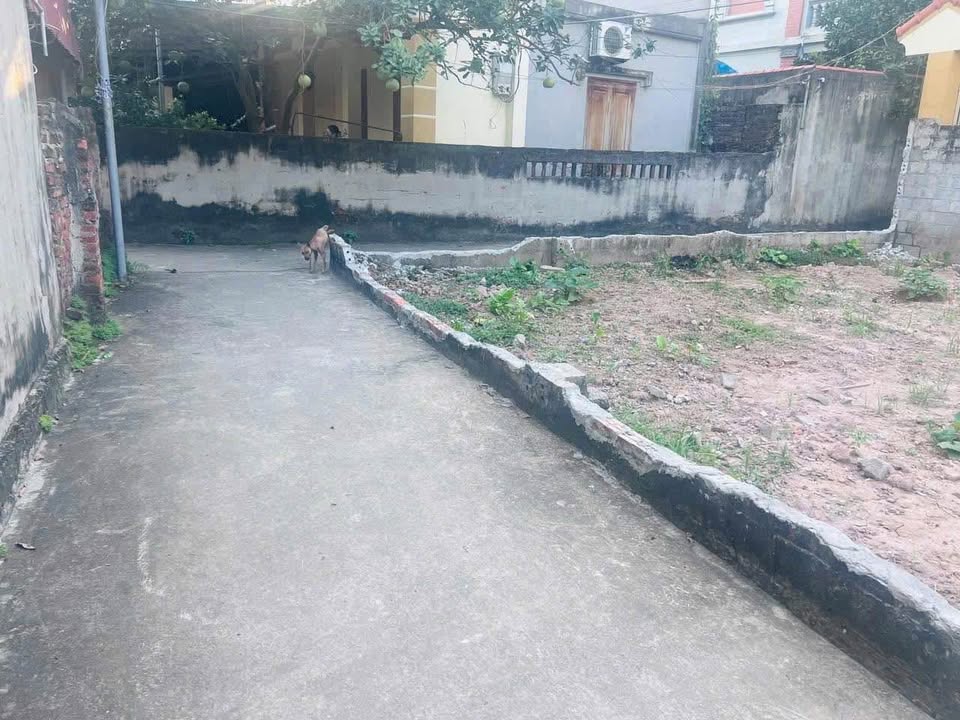 Đất nền lô góc Nghiêm Xuyên 55m² giá 1.88 tỷ - Đường thông ô tô đỗ cửa!