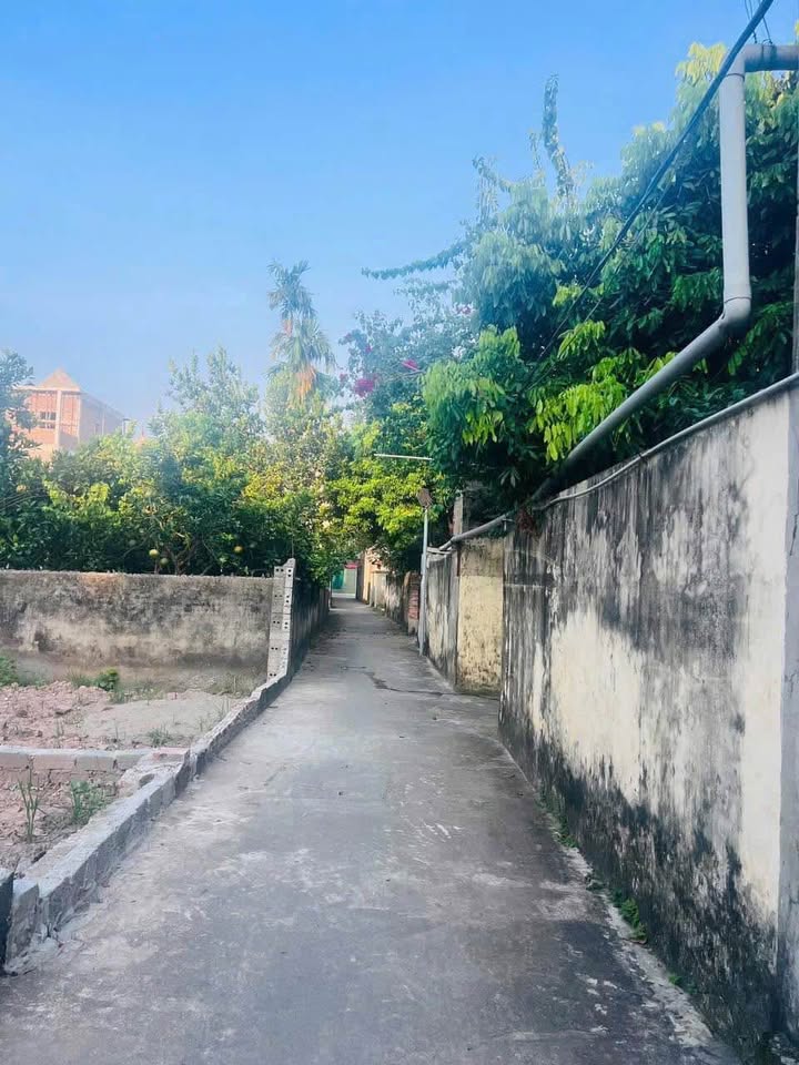 Đất nền lô góc Nghiêm Xuyên Thường Tín 55m² giá thỏa thuận - Tiềm năng sinh lời cao!