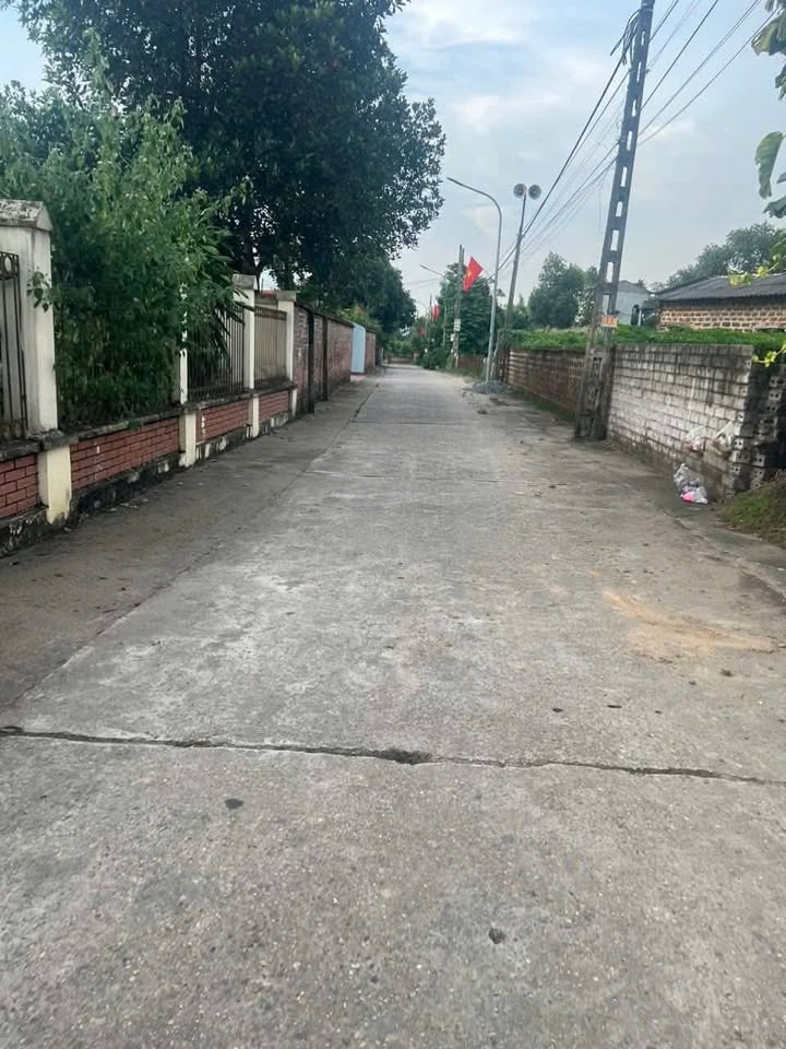 Đất nền lô góc Chương Dương Thường Tín 53.8m² giá 2.6 tỷ - Tiềm năng phát triển cao!