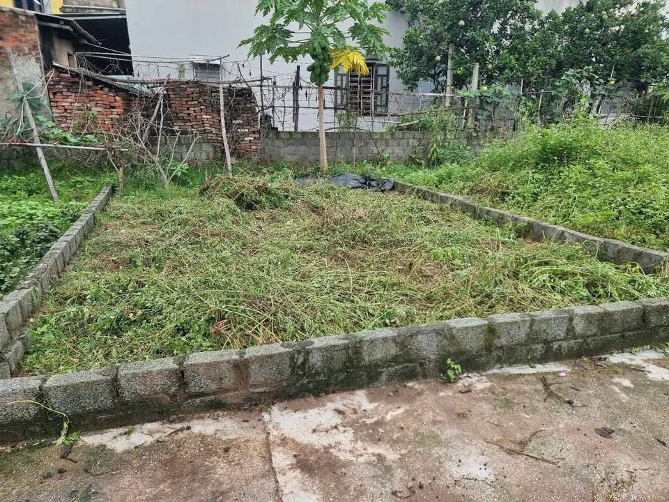 Đất Thắng Lợi, Thường Tín, Hà Nội 40m² giá 1.78 tỷ - Nở hậu, vị trí đẹp!