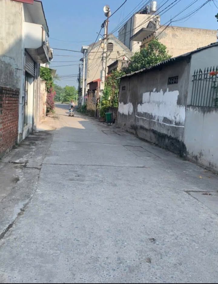 Nhà riêng Tự Nhiên, Thường Tín 44,1m² giá 1,73 tỷ - Ô tô đỗ cửa, vị trí đắc địa!