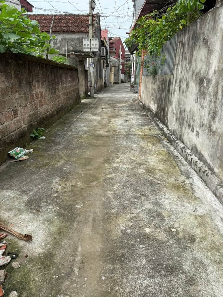 Đất Hồng Vân Thường Tín 40m² giá 1.45 tỷ - Vị trí vàng liền kề vành đai bốn!