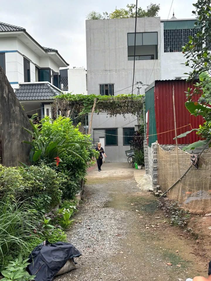 Đất Nền Ninh Sở Thường Tín 60m² giá 2.97 tỷ - Đường thông thoáng, tiện ích đầy đủ!