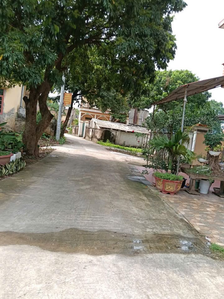 Đất thổ cư Chương Dương Thường Tín 33m² giá 1.48 tỷ - Ô tô đỗ cửa tiện lợi!