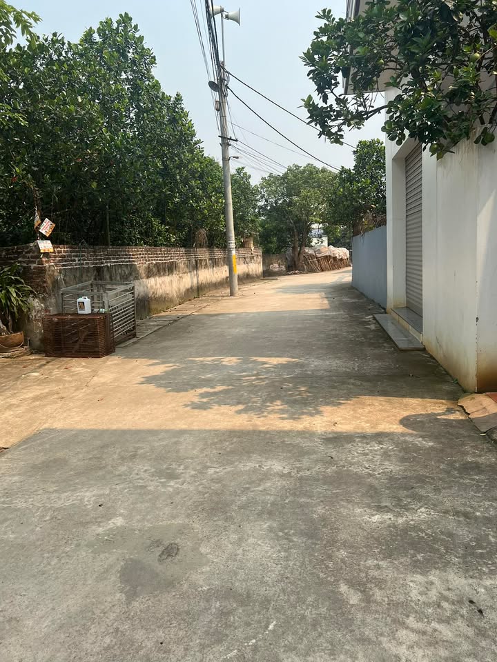 Đất nền Chương Dương Thường Tín 65m² giá 3 tỷ - Lô góc ô tô đỗ cửa