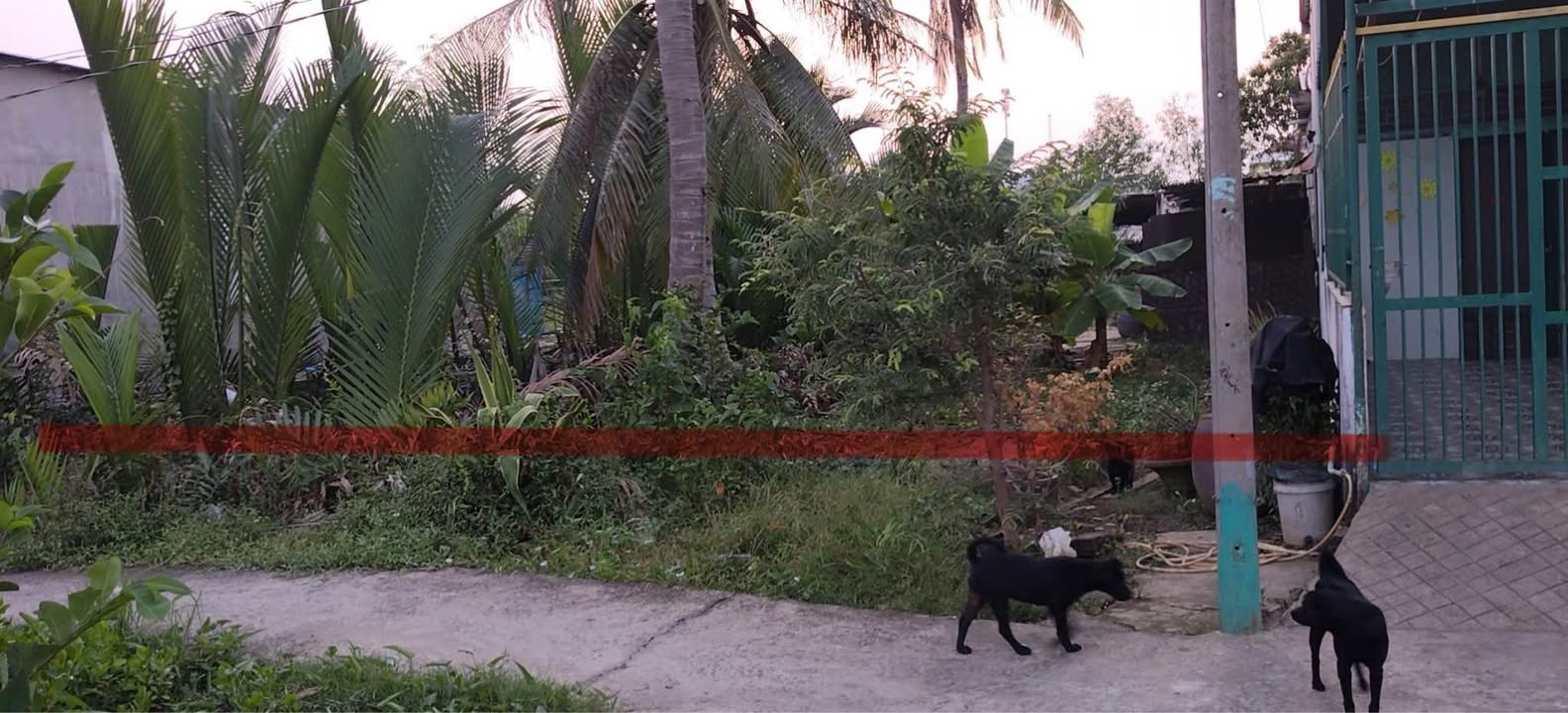 Đất CLN 300m² Hiệp Phước, Nhà Bè giá 1 tỷ - Cơ hội đầu tư tuyệt vời!