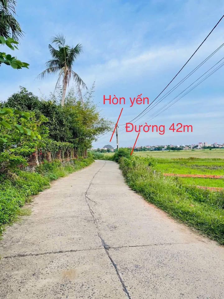 Đất nền Ô Loan, Tuy An, Phú Yên 140m² - Gần biển Hòn Yến chỉ 800m!