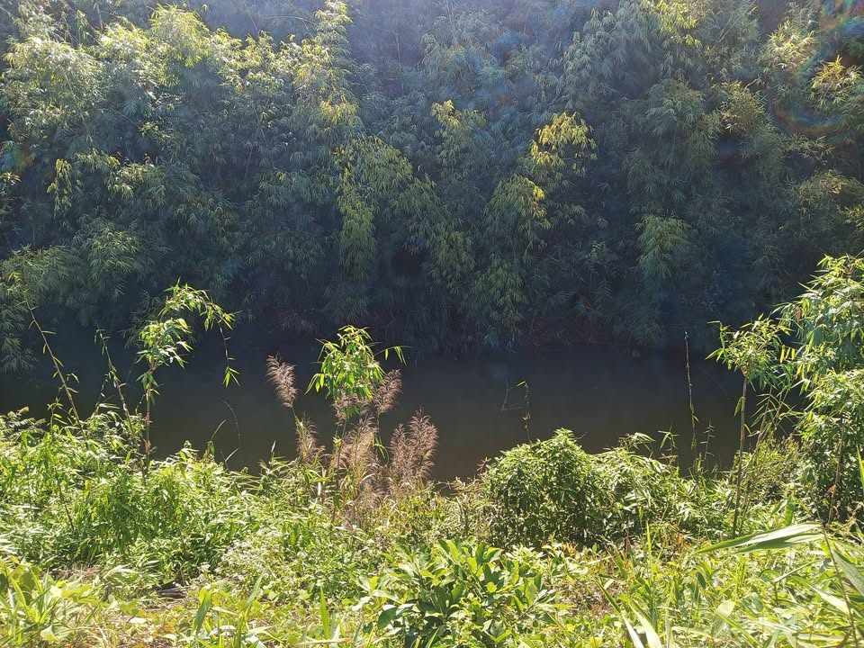 Đất nền Đam Rông 11.000m² giá 1.2 tỷ - Đầu tư sinh lời ngay!