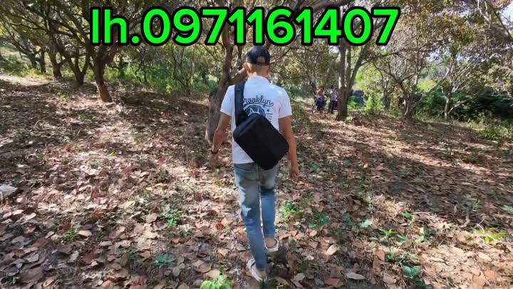 Farm cho thuê tại xã Ia O, huyện Ia Grai, Gia Lai 6ha - Giá chỉ 75 triệu/ha/năm!