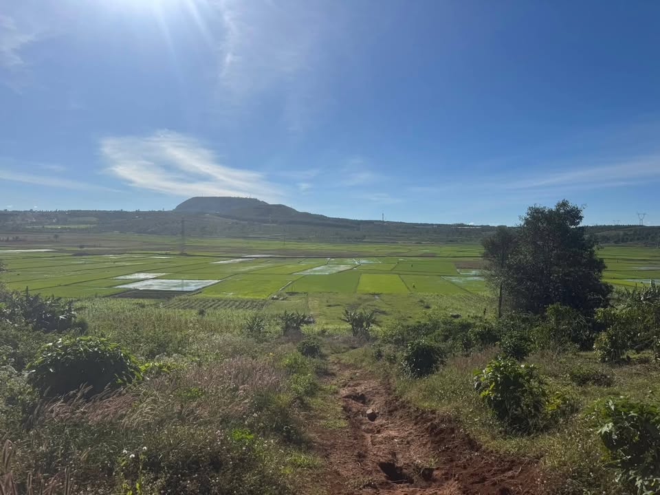 Đất nền Hội Phú, Pleiku 12.600m² giá 1.1 tỷ - Tiềm năng phát triển nghỉ dưỡng!