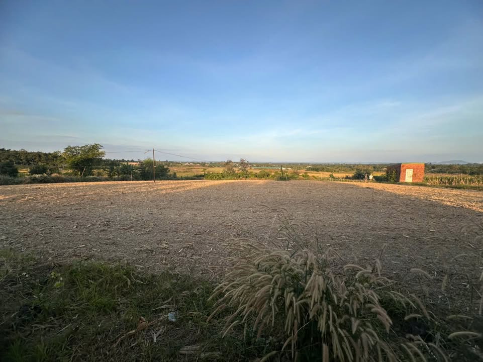 Đất nền 2ha tại xã Ea Pô, huyện Cư Jút - Giá 1.8 tỷ, đầu tư sinh lời ngay!