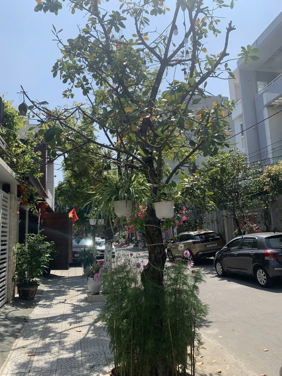 Biệt thự 3 tầng 218m² đường Ngô Thế Vinh, Hải Châu, Đà Nẵng - Giá chỉ 17.9 tỷ!