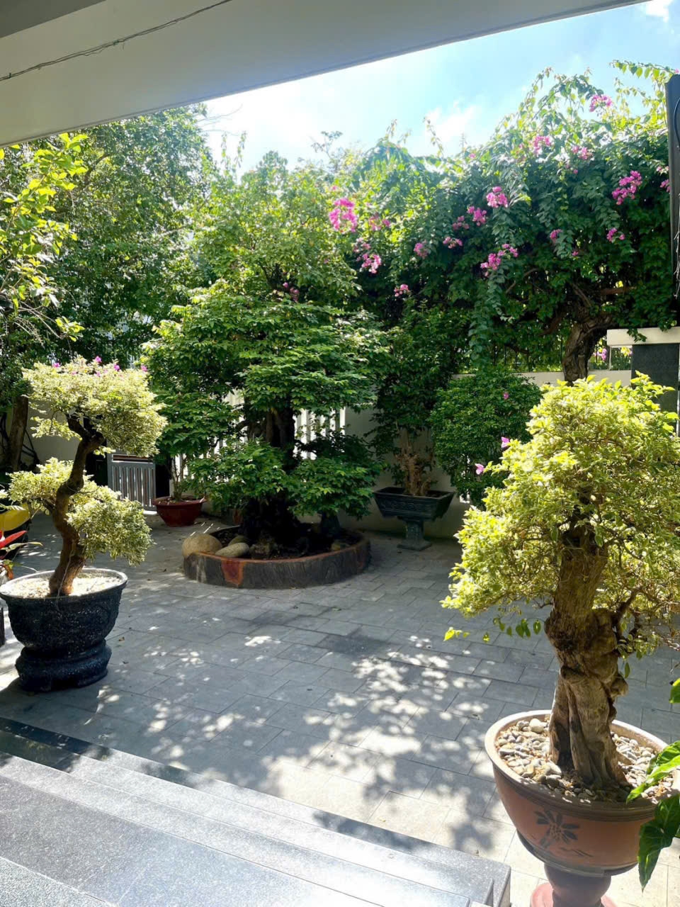 Biệt thự khu đô thị VCN Phước Hải 320m² giá 27 tỷ - Sổ đỏ hoàn công, hướng Đông Nam!