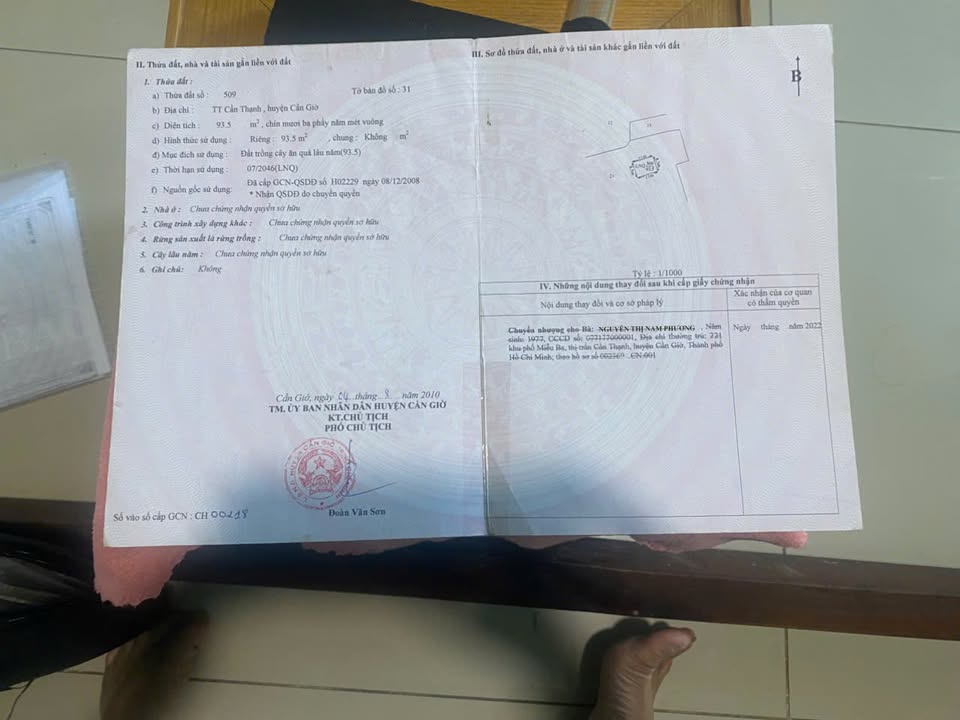 Đất nền Cần Thạnh, Cần Giờ 198.5m² giá chỉ 5.5 tỷ - Sổ hồng chính chủ, xây dựng ngay!