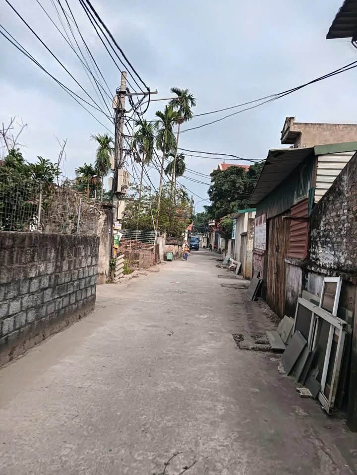 Đất nền Thư Phú, Thường Tín 53m² giá 2.95 tỷ - Đầu tư sinh lời hiệu quả!