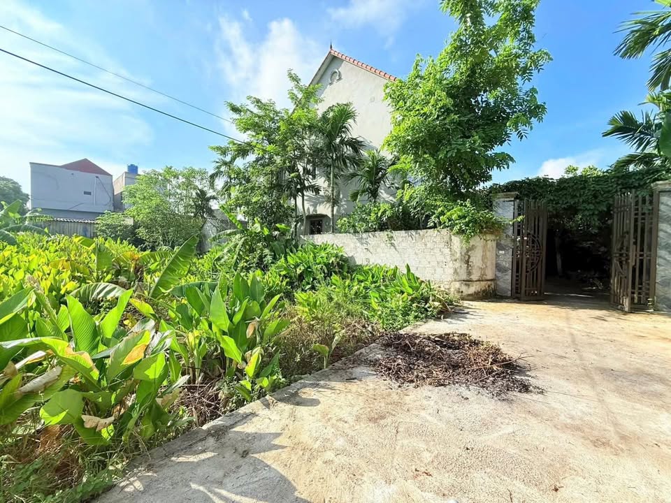 Đất nền chính chủ tại Quảng Châu, Hưng Yên 110m² - Giá tốt, vị trí đẹp!