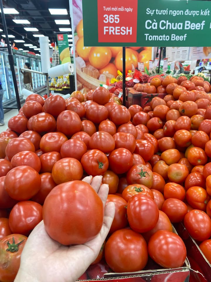 Đất Mặt tiền Thới Sơn 150m² giá 1.2 tỷ - Pháp lý sổ đỏ, tặng nhà kiên cố!