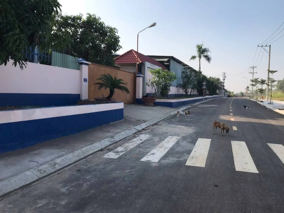 Xưởng 13.389m² tại P. Thới Hòa, Tân Phú, giá 70 tỷ - Đầu tư sinh lời ngay!