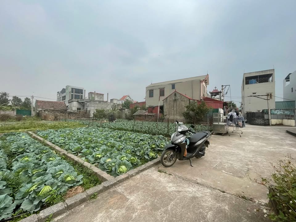 Đất nền Thường Tín 55m² giá 3 tỷ - Đầu tư sinh lời ngay!